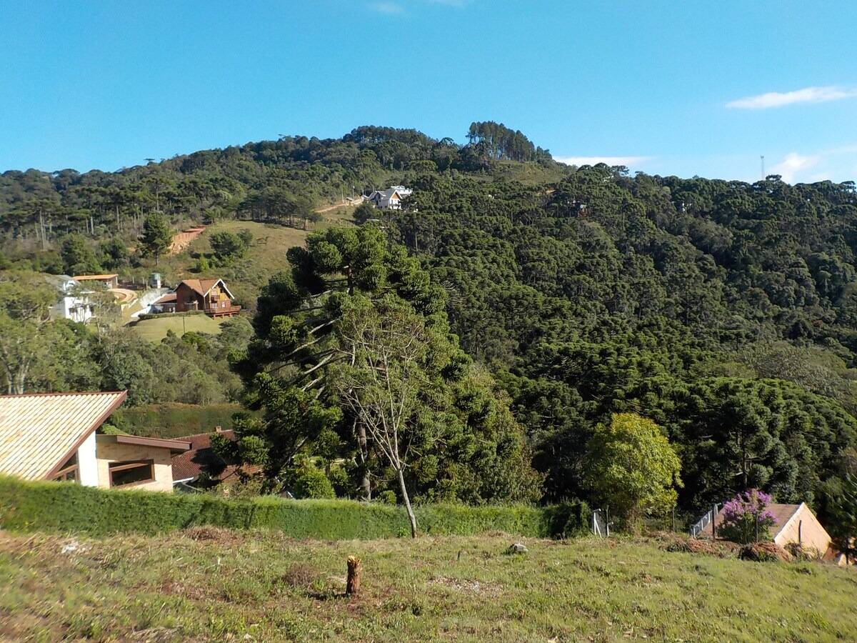 Casa, 5 quartos, 1000 m² - Foto 48